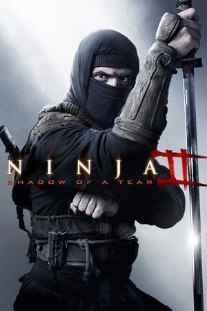 Ninja 2: A Vingança Dublado