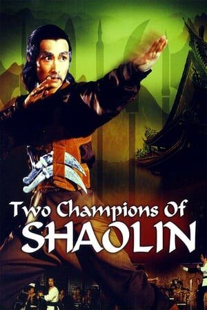 Dois Campeões de Shaolin Dual Áudio