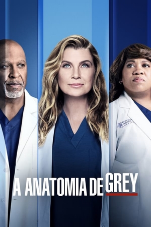 Grey’s Anatomy 18ª Temporada Dual Áudio