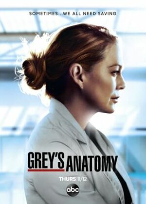 Grey’s Anatomy 19ª Temporada Dual Áudio